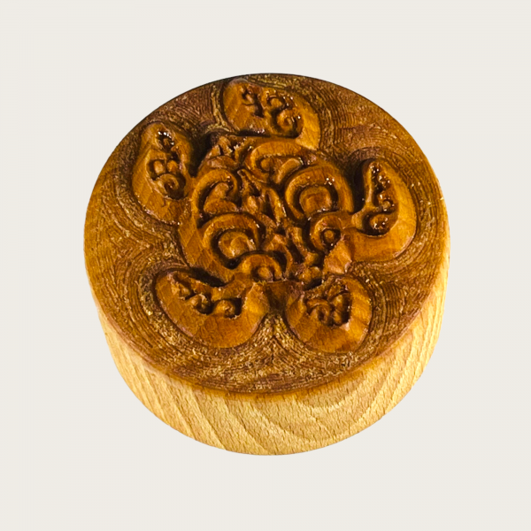 Meeresschildkröte 2